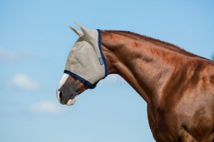 Vliegenmaskers & vliegenfrontriemen Paard