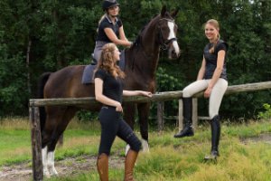 Onregelmatigheden op tijd Boekhouder Ruiterkleding en accessoires online kopen | MHS ruitersport