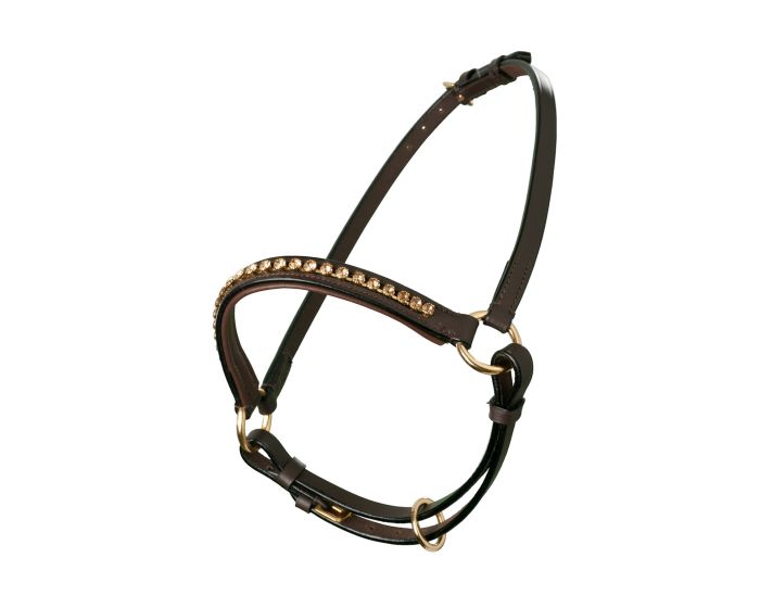 MHS Showhalster Mon Cherie Bruin/Roze Jaarling main product photo