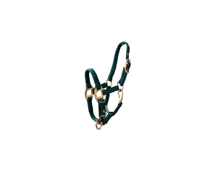 Hamilton Halster Groen Pony main product photo