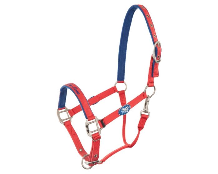 BR 4-Ever Halster main product photo