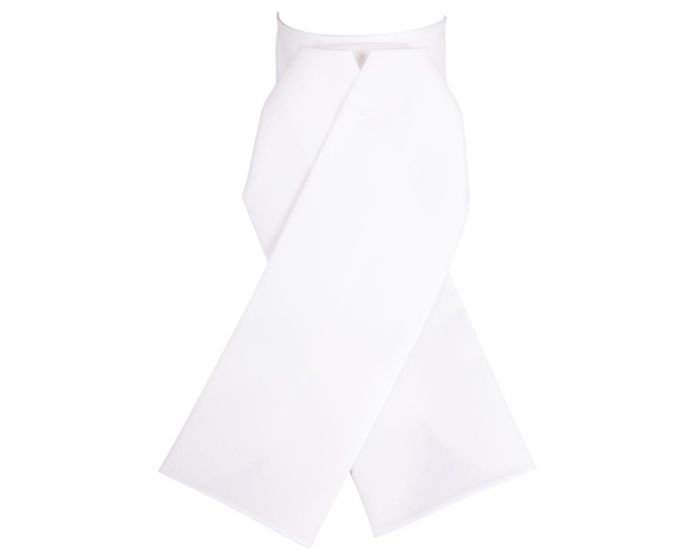 Elton Plastron main product photo