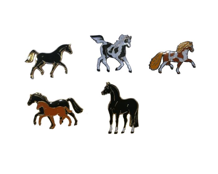 Paardenspeldje main product photo