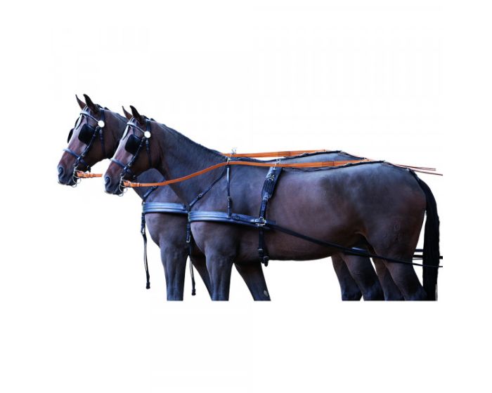 PFIFF Tuig voor twee paarden "Standaard" main product photo
