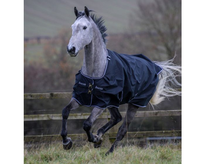 Wonen Krankzinnigheid bouwer Bucas Trotting Turnout Deken 50 Gram Goedkoop Online Bestellen | MHS  Ruitersport