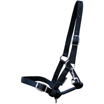 Harry's Horse Veulenhalster paard Full Veulen Zwart