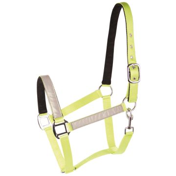 Harry's Horse Halster Reflective