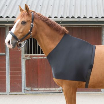 Harry's Horse  Elastische Borstbeschermer