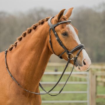 horka HOOFDSTEL CROWN