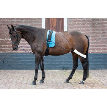 Harry's Horse Longeerhulpteugel