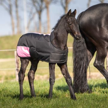 Harry's Horse Veulendeken TwoTone One Size Zwart