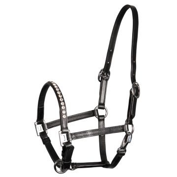 Harry's Horse Pony/veulenhalster crystal leder