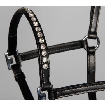 Harry's Horse Pony/veulenhalster crystal leder One Size Zwart