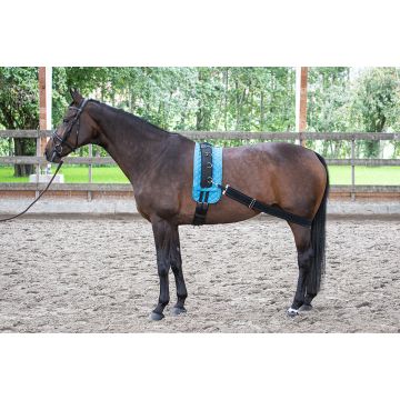 Harry's Horse Longeerband elastisch