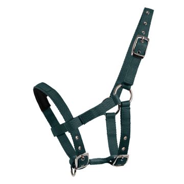 Waldhausen Mini Shetty halster