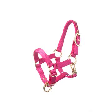 MHS Halster Fancy Roze Veulen