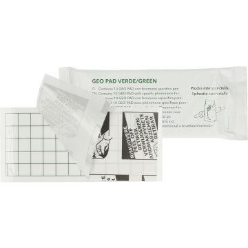 Knock Off Geo Lijmplaat Levensmiddelenmot (Ephestia/Plodia)