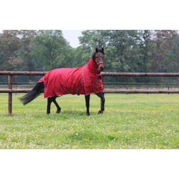 MHS Regendeken "Dream" 100 gram vaste hals 75/100 cm Bordeaux