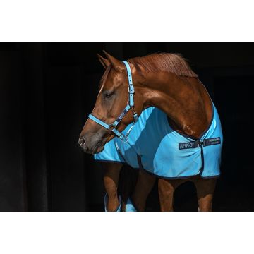 Horseware Products LTD Amigo halster