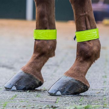 horka BEEN STRAPS REFLECTEREND PER PAAR