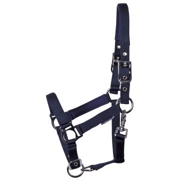 Harry's Horse Veulenhalster Padded