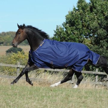Bucas Irish Turnout 150 165/213 cm Navy / Goud