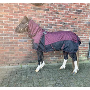 QHP Winterdeken turnout met hals 300gr 80/110 cm Bordeaux