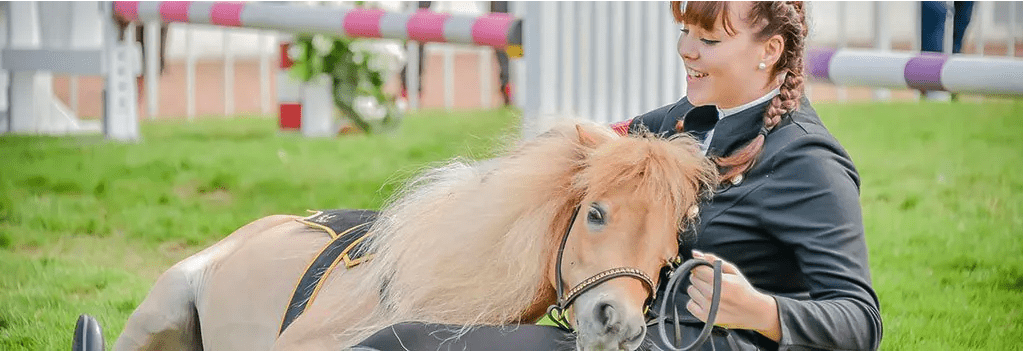 Grondwerk met je paard: handige oefeningen | MHS Ruitersport